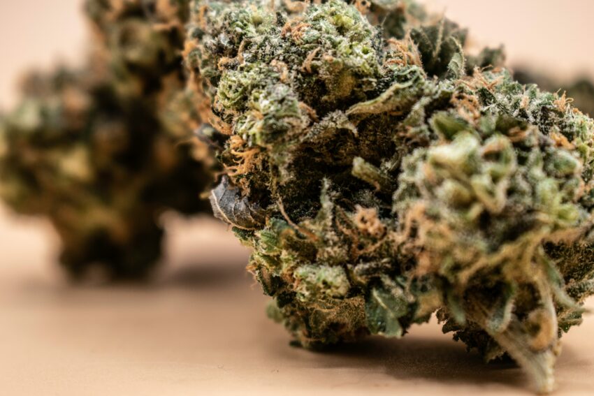 thca flower